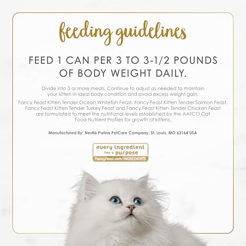 Prueba de sabor gourmet para gatitos, experiencia atractiva