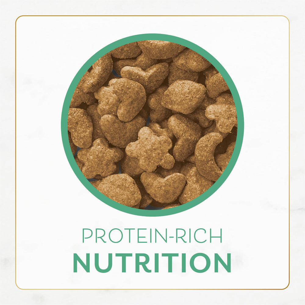 Fancy Feast servir con cuenco de cerámica mejora la experiencia de comida.