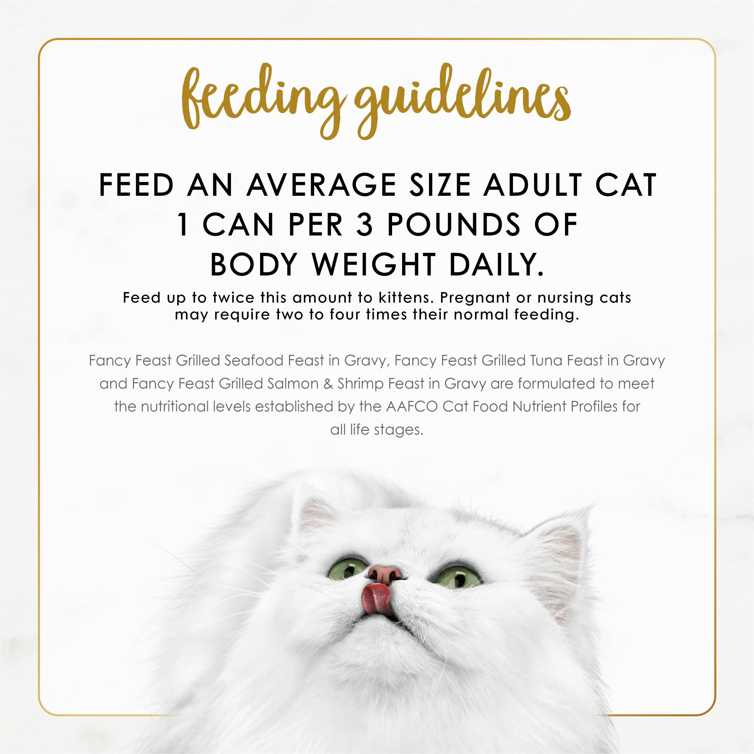 Fancy Feast Vista del Pack: presentación atractiva para la dieta diaria