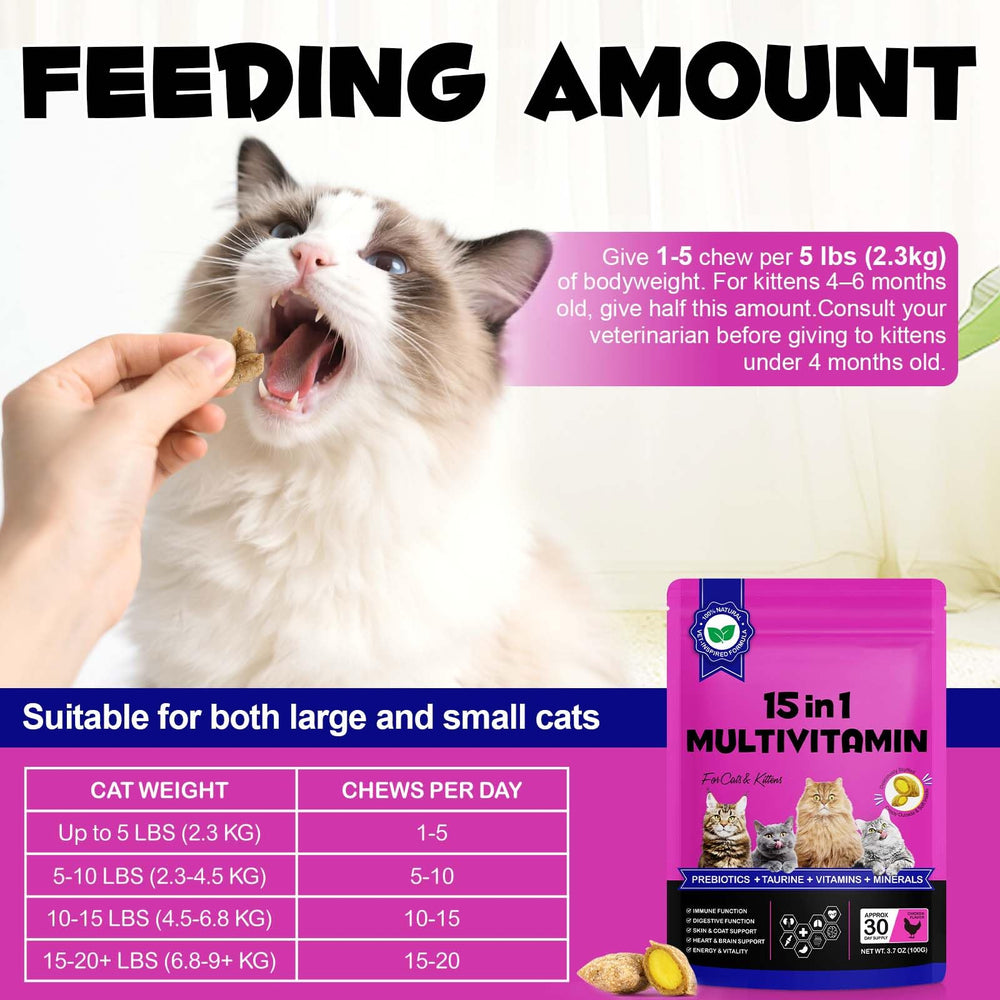 FANGCUN 15-en-1: sin maíz ni trigo para dieta limpia de gatos