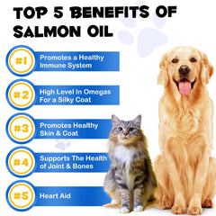 Aplicación en dieta con salmón Alaska para sabor y nutrición diaria.