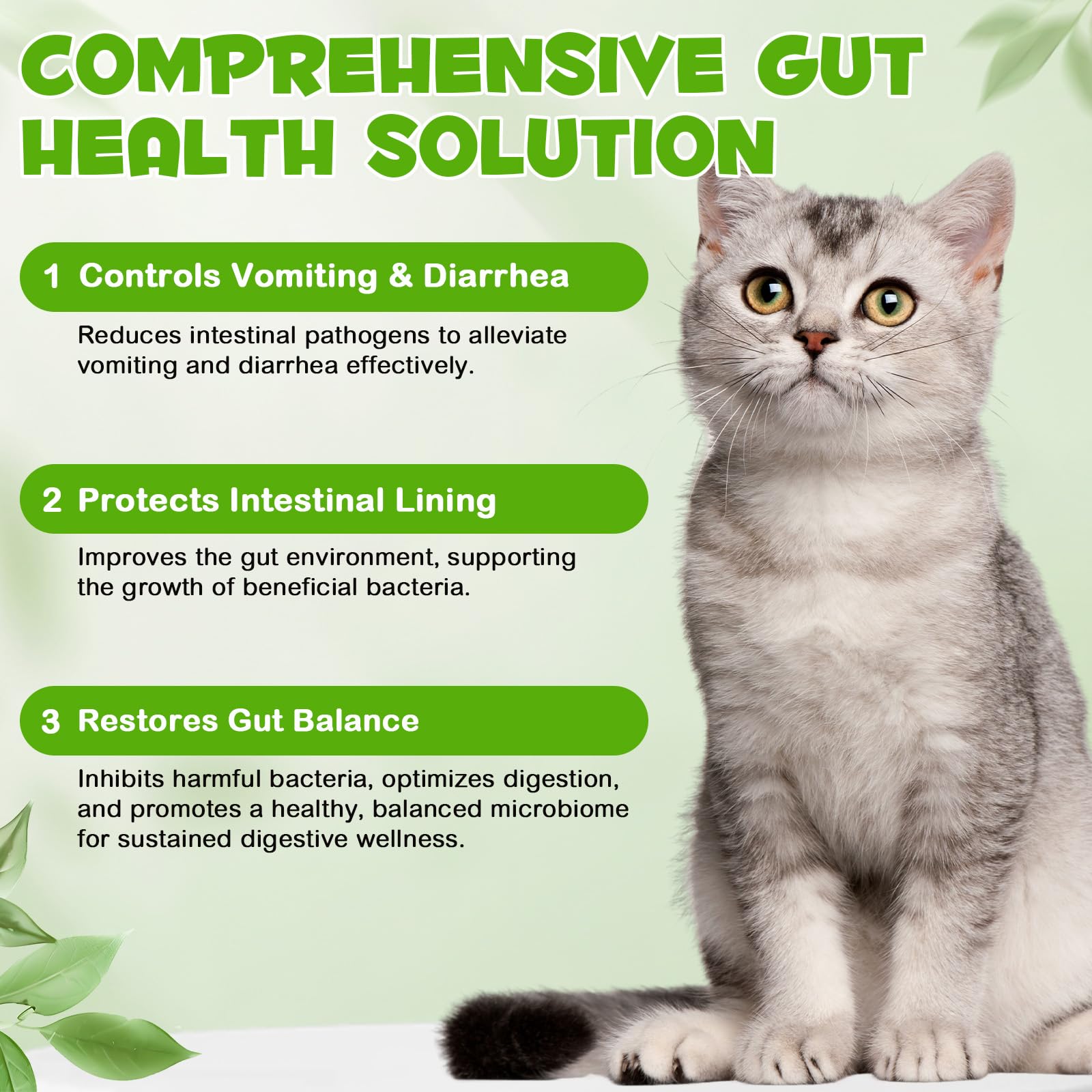 FANGCUN Probiotics para gatos: uso diario fácil en la rutina.