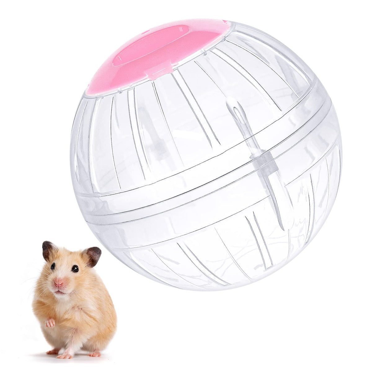 Bola de ejercicio para hámster FANKUTOYS transparente de 5-7 pulgadas para juego seguro.