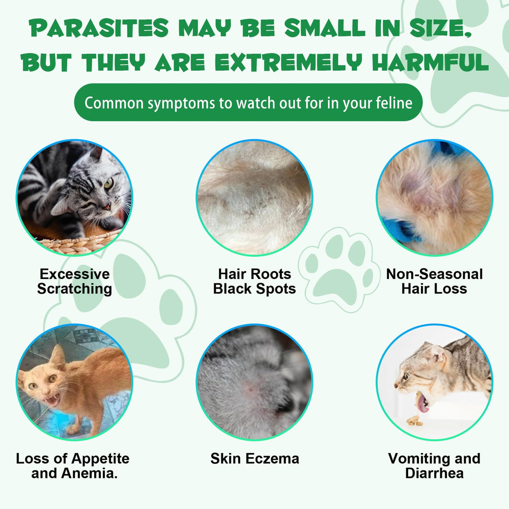Fanshi gotas probióticas para gato: sabor agradable que facilita la toma diaria