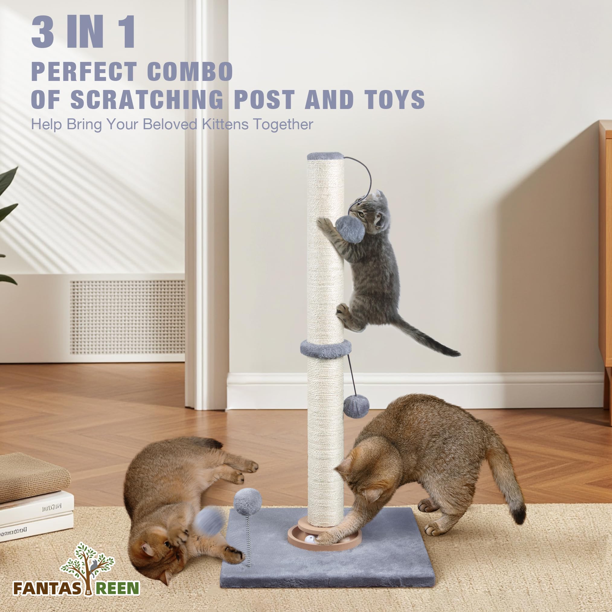 Instalación rápida de Fantasreen en minutos para tu gato y hogar