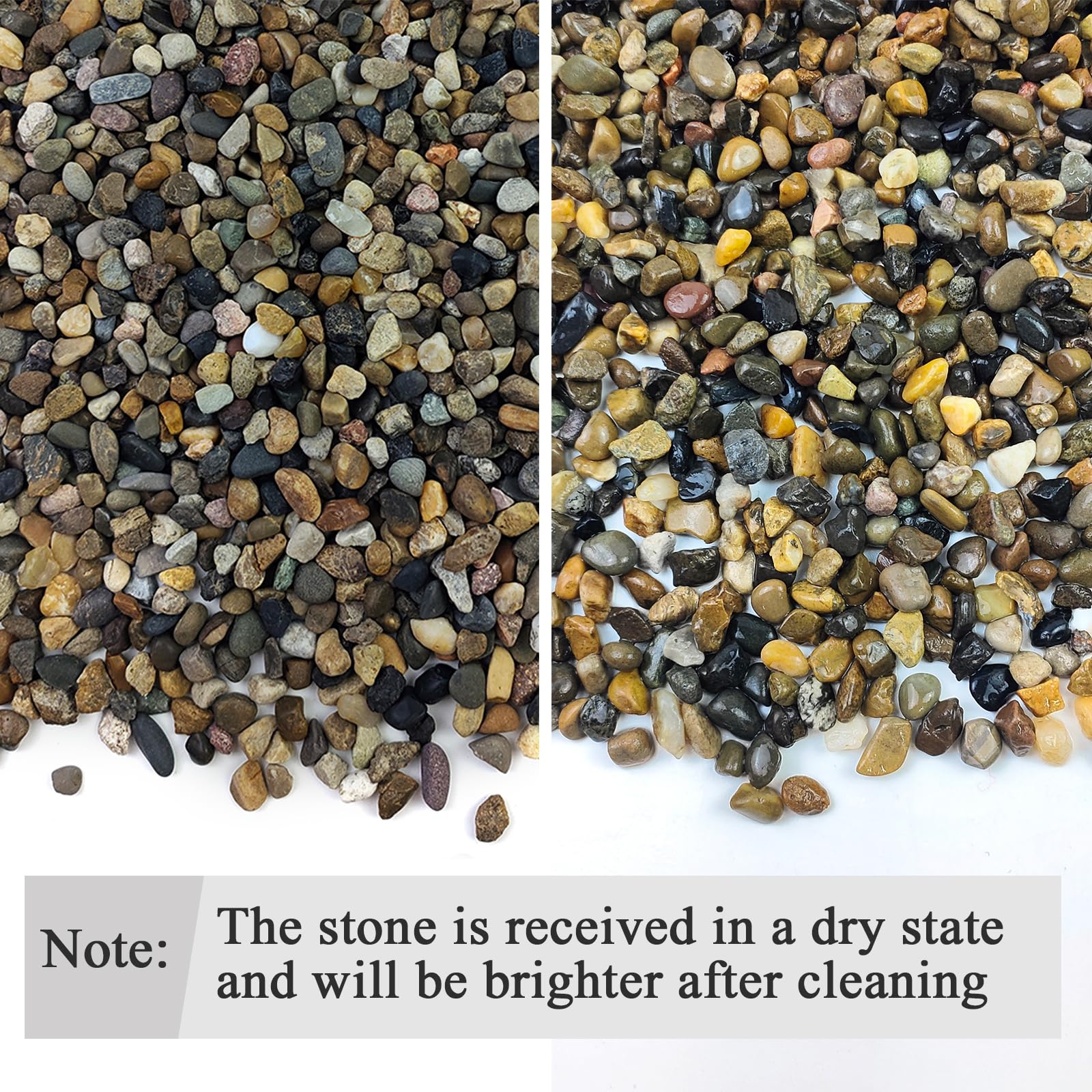 Piedras Fantian para plantas, mejoran drenaje y retención de humedad en macetas.