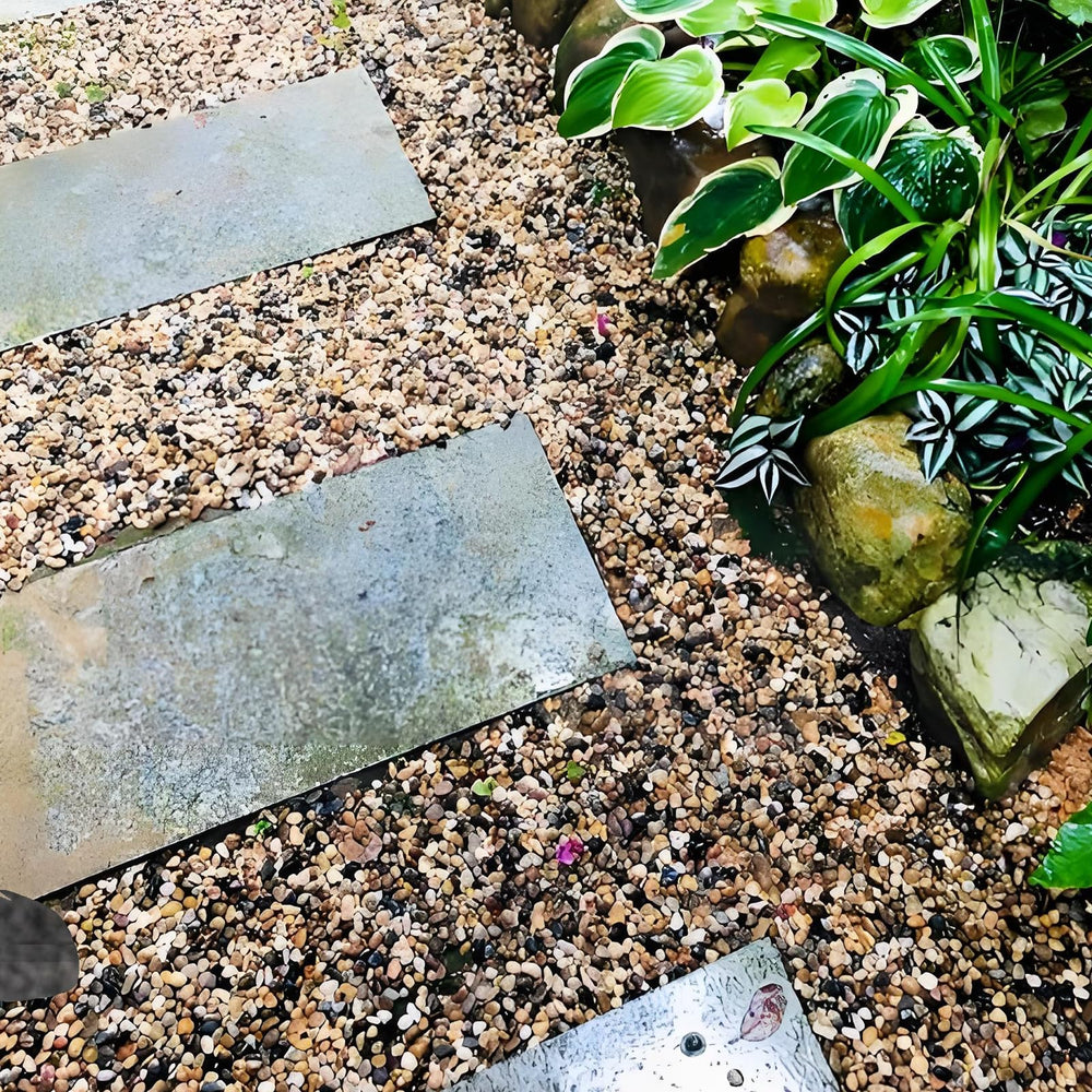 FANTIAN grava para terrarios y proyectos de bricolaje, facilita decoración versátil