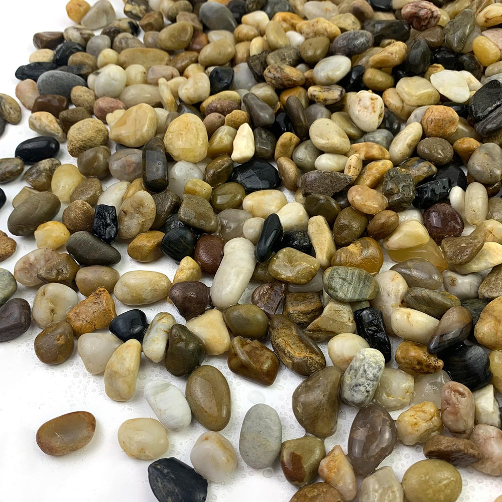 Piedras Fantian requieren lavado previo, listas para acuario.