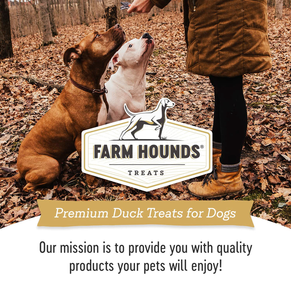 Farm Hounds Canard Trainers idéal pour entraînement quotidien du chien