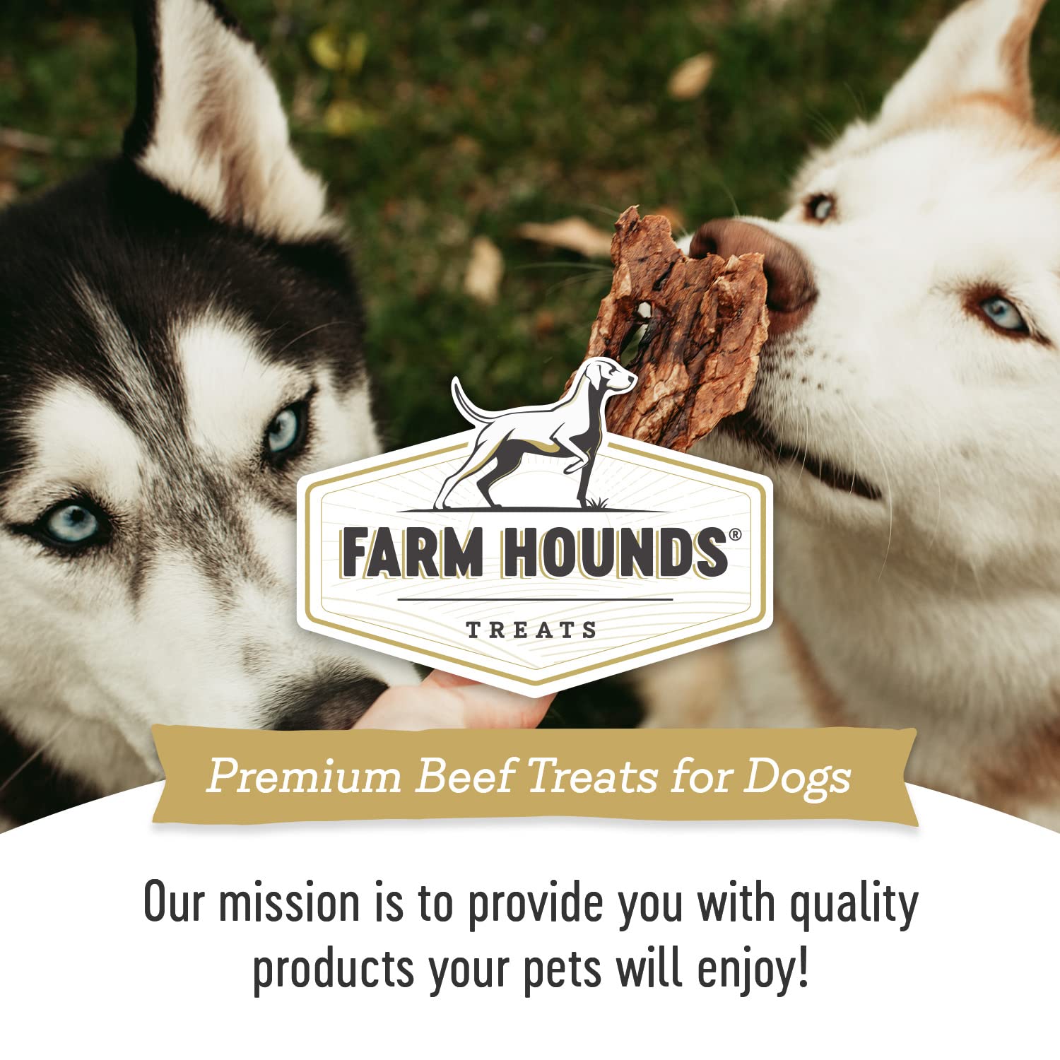 Crianza en granjas familiares para Farm Hounds