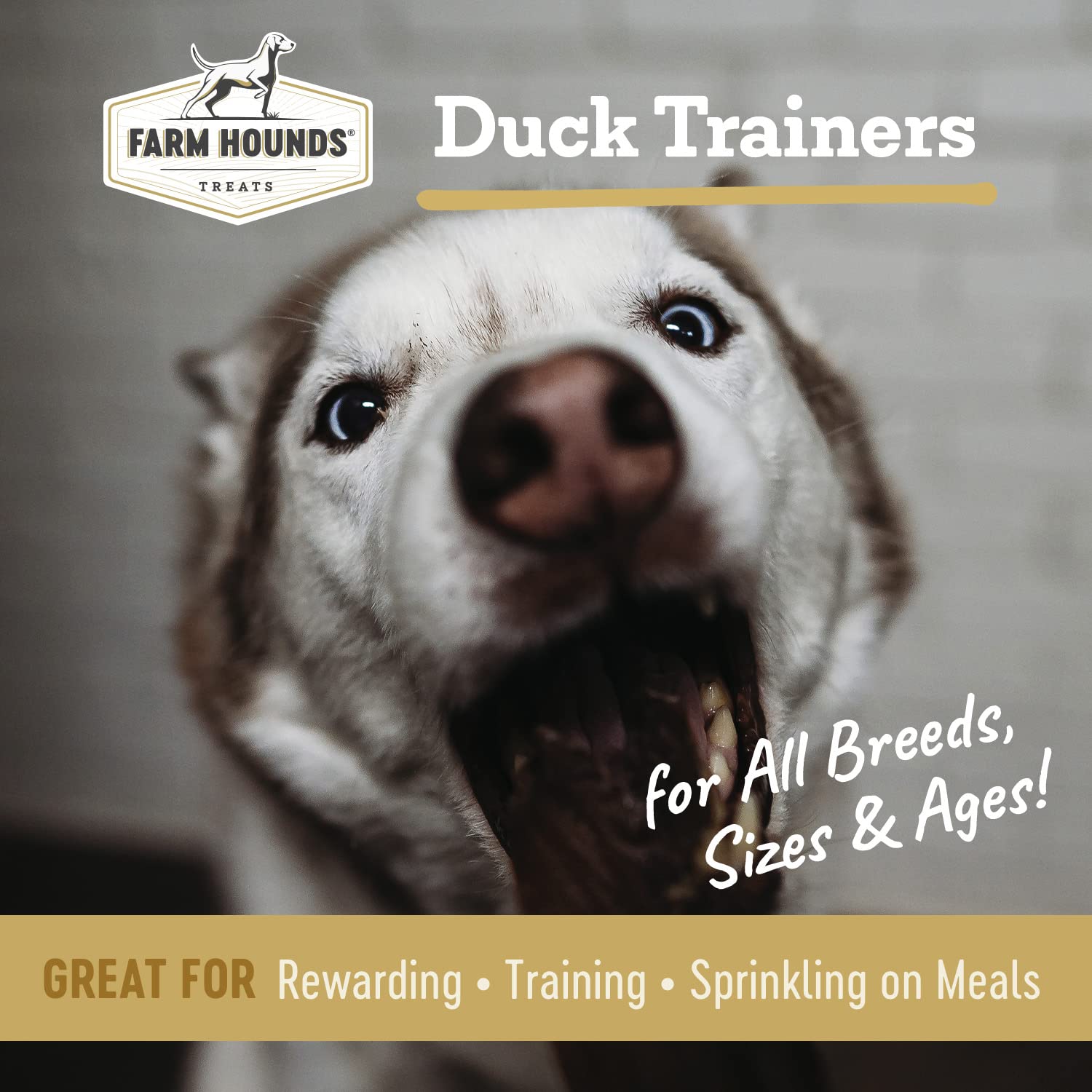 Farm Hounds entrenadores de pato, trozo deshidratado, recompensa sabrosa para entrenar cualquier raza.