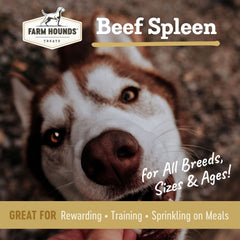 Farm Hounds jerky natural de res: snack saludable para perros activos