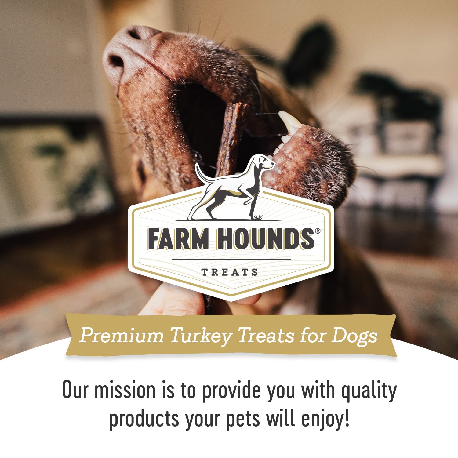 Farm Hounds jerky sin aditivos de pavo, snack saludable.