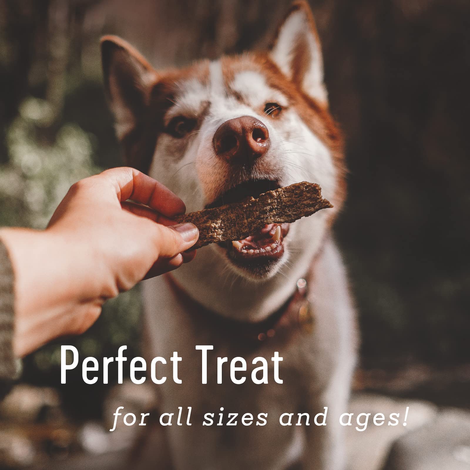 Tranches dinde Farm Hounds soutien nutritionnel pour muscles et énergie