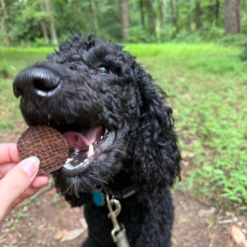 Farm To Pet proteína alta, snack práctico para reforzar conductas positivas