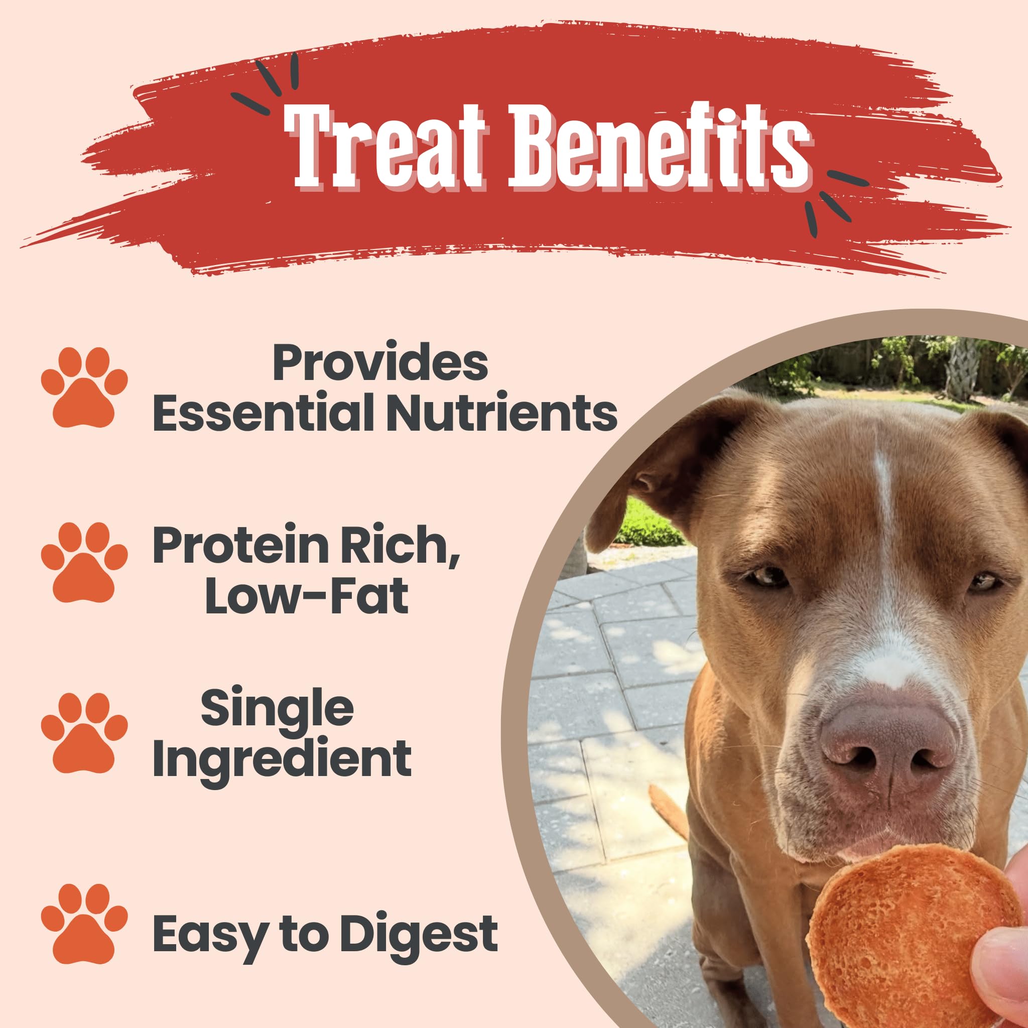 Farm To Pet: parfait pour chiots et chiens de toutes tailles.