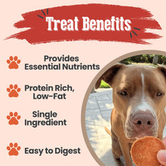 Farm To Pet: parfait pour chiots et chiens de toutes tailles.
