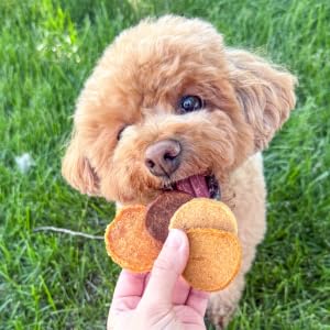 Farm To Pet pack variedad sabores, entrenamiento con bocaditos crujientes.