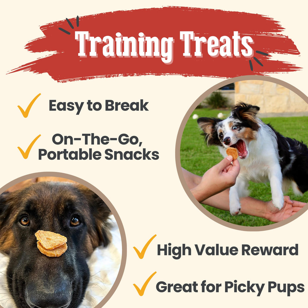 Chips sin preservantes, opción simple para perros sensibles