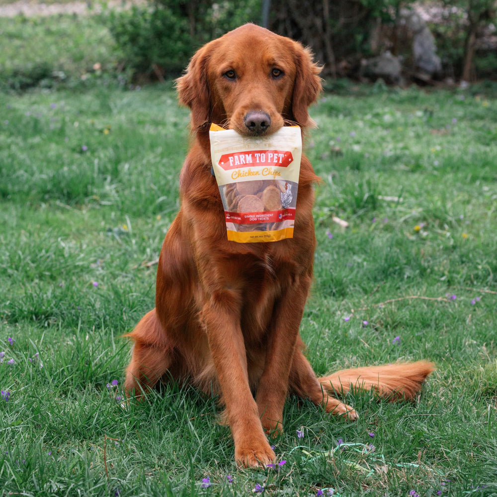 Farm To Pet Chips de Pollo, aptos para perros con estómago sensible.