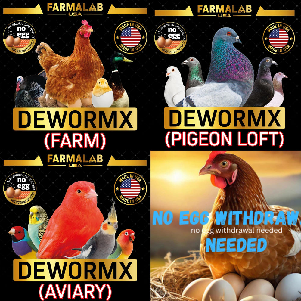 Farmalab Probióticos Extra uso veterinario y administración por pico