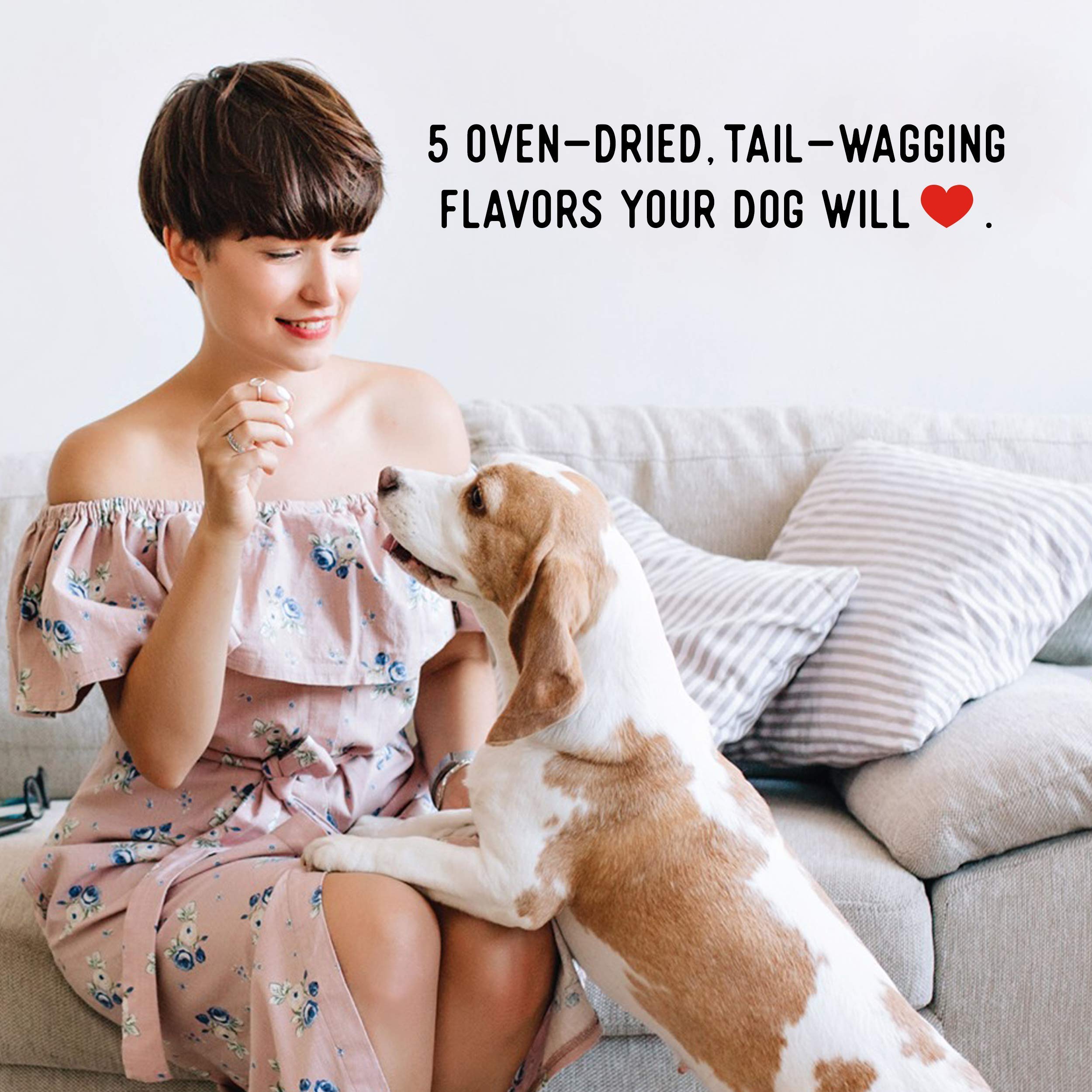 Farmland Traditions: servir jerky en casa como snack diario para perros.