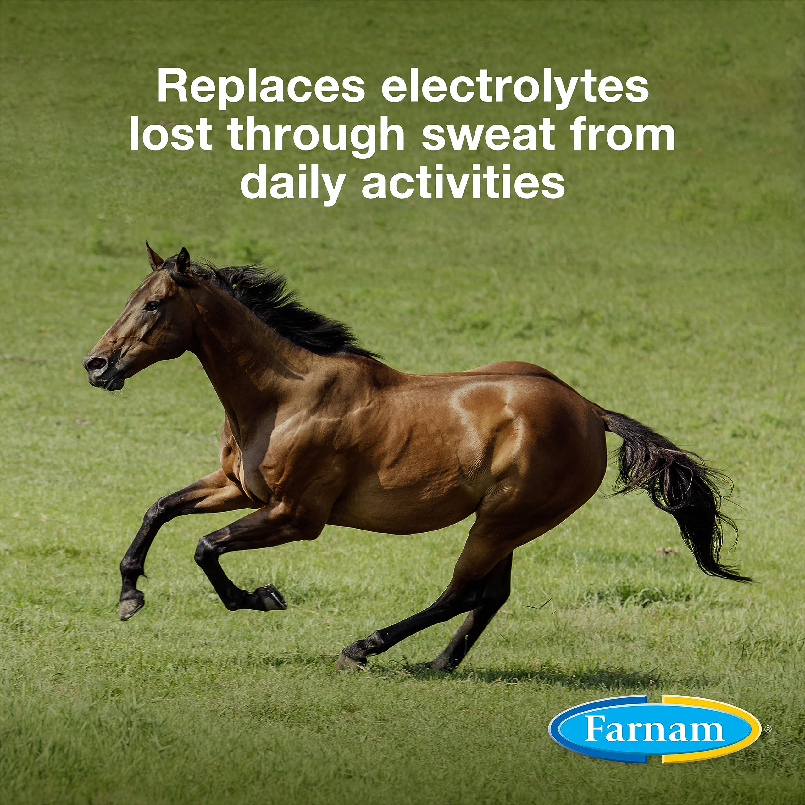 Farnam Apple Elite, dosificador, facilita medir la dosis diaria para caballos.