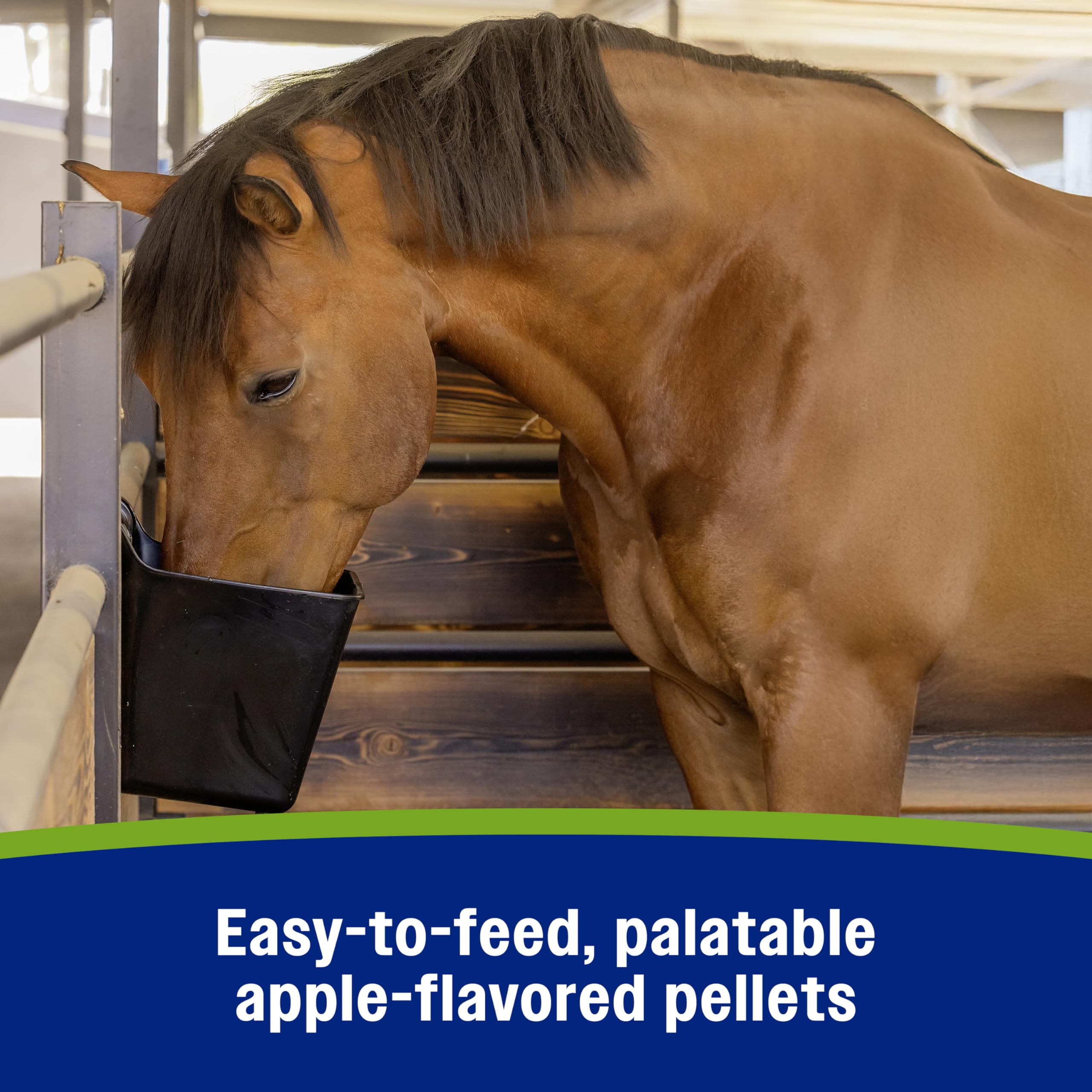 Electrolitos minerales para caballos Farnam Apple Elite