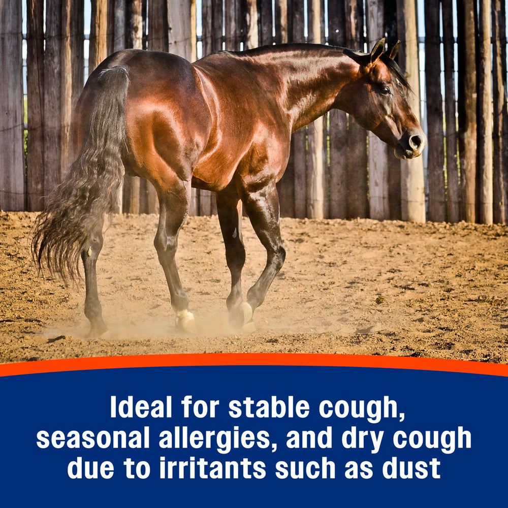 Envase Farnam Cough Free con etiqueta clara y legible.
