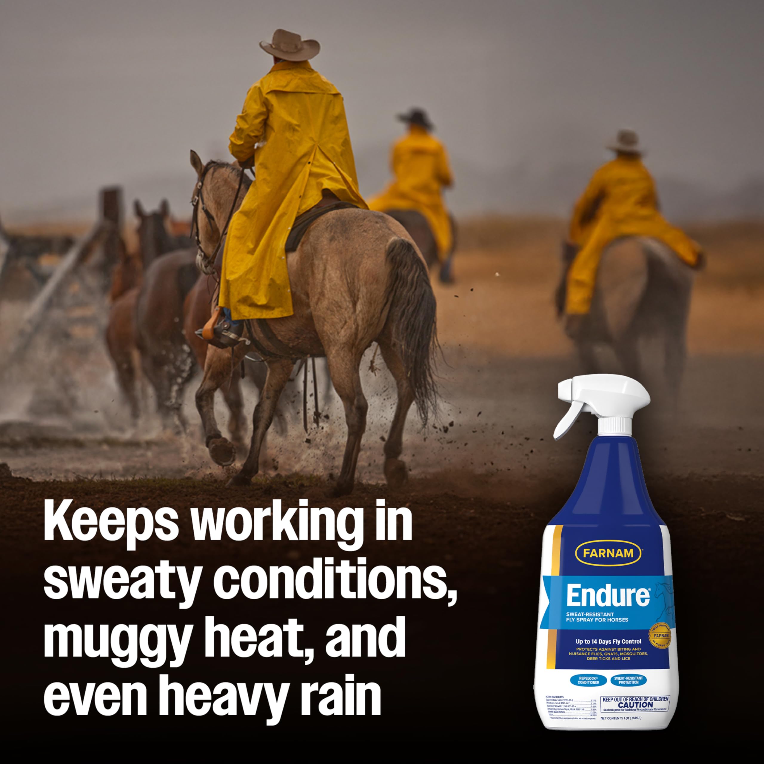 Farnam Endure, caballo en campo con protección insectos.