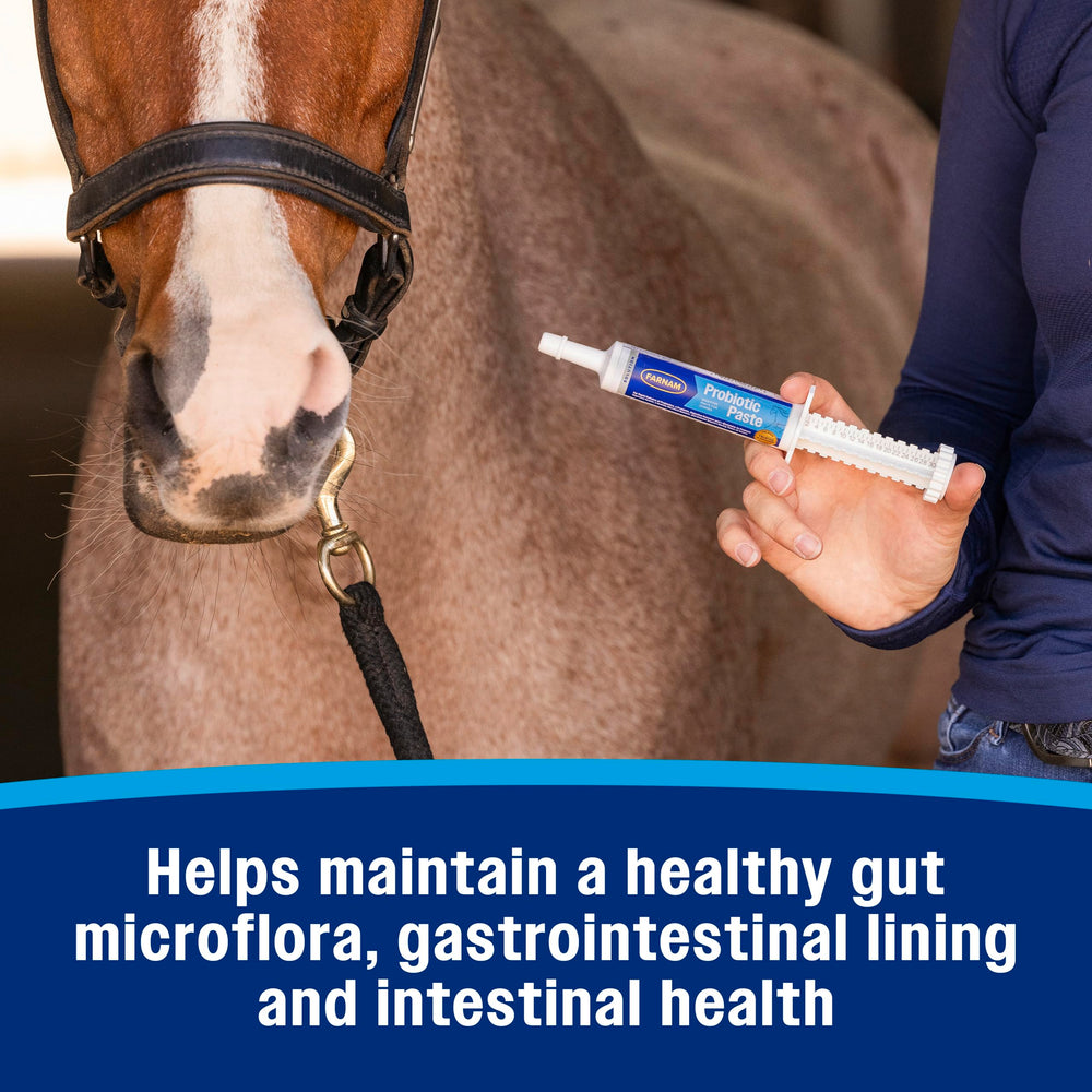 Composición con enzimas digestivas y L-glutamina de la pasta Farnam para intestino.