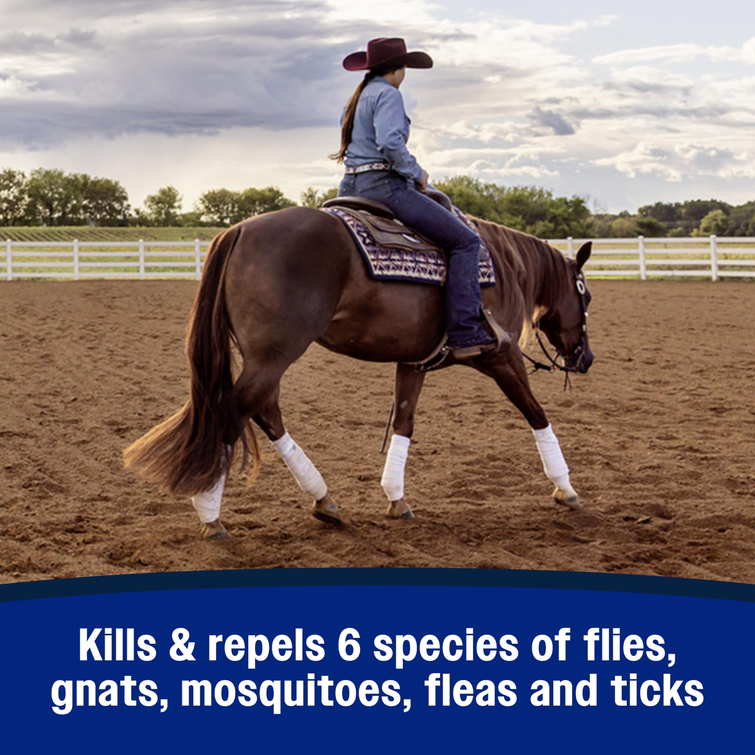 Farnam Repel-X para establos: protege caballos y áreas cercanas de moscas.
