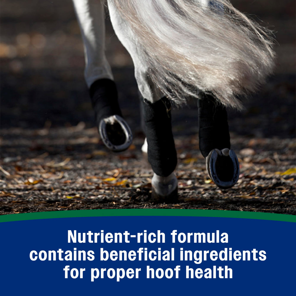 Farnam minerales-aminoacidos: nutrientes vitales para cascos resistentes.