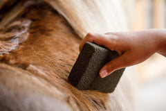 Bloque Farnam Slick 'N Easy para hasta doce caballos en establo.