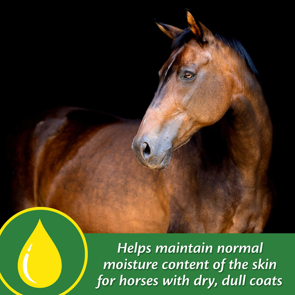Farnam Super 14 crecimiento-de-mena-y-cola favorece la melena y la cola.