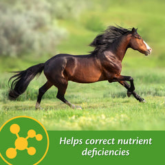 Farnam Vita-Min E & Selenium antioxidante que favorece la recuperación en caballos activos.