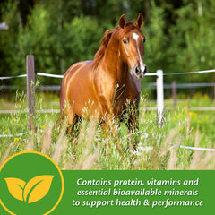 Etiqueta del producto Farnam Vita Plus con información de minerales.