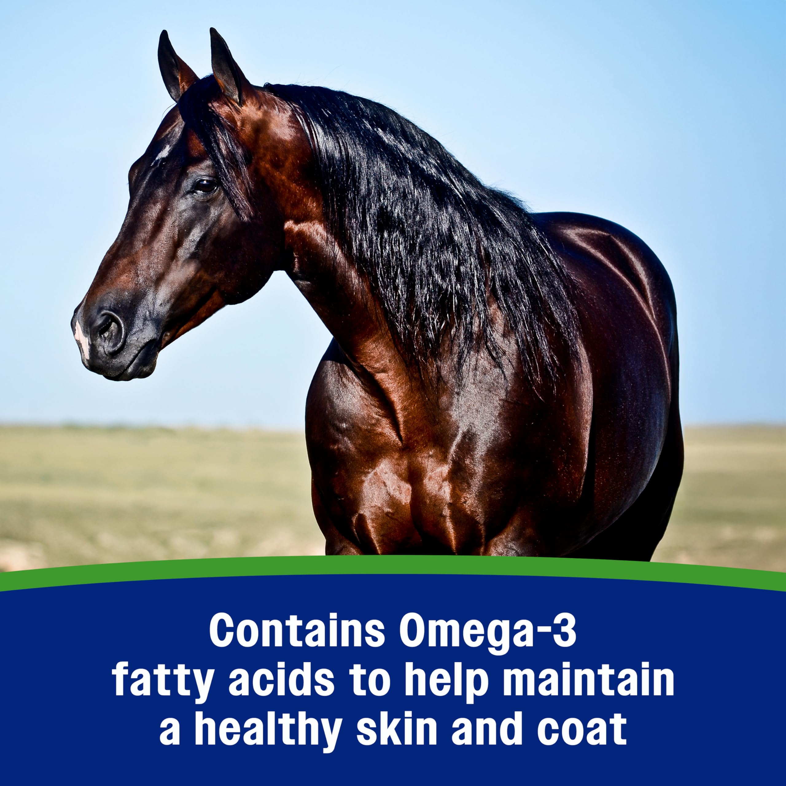 Farnam Weight Builder: omega-3 para piel sana y pelaje brillante.