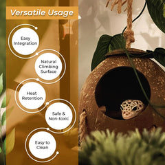 Favozio gecko-cueva coco-carabiner: soporte estable para terrario.