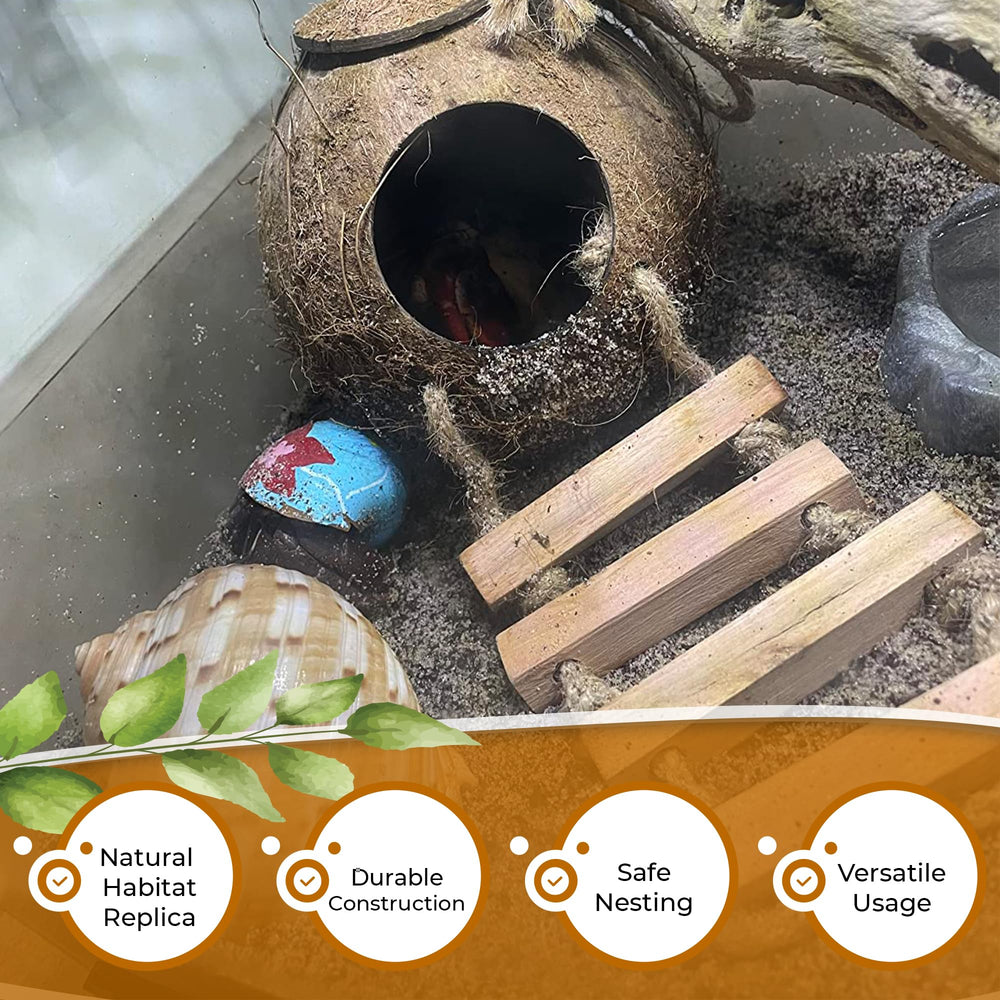 Favozio gecko-cueva coco-cuerda: escalada suave que promueve movilidad.