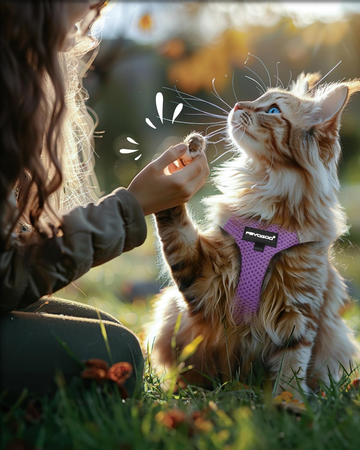 Fayogoo arnés ajustable para gatos pequeños y cachorros, con ajuste seguro