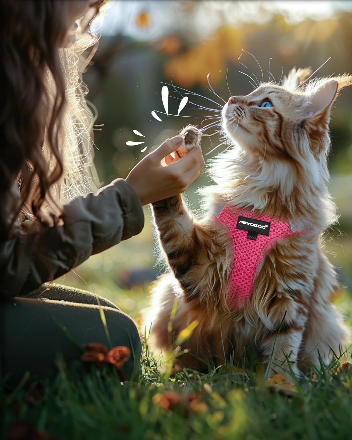 FAYOGOO diseño de arnés rosa liso, estilo práctico para mascotas
