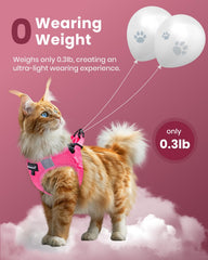 Laisse Fayogoo de 5 pieds, reflechissante, pour plus de distance en extérieur.