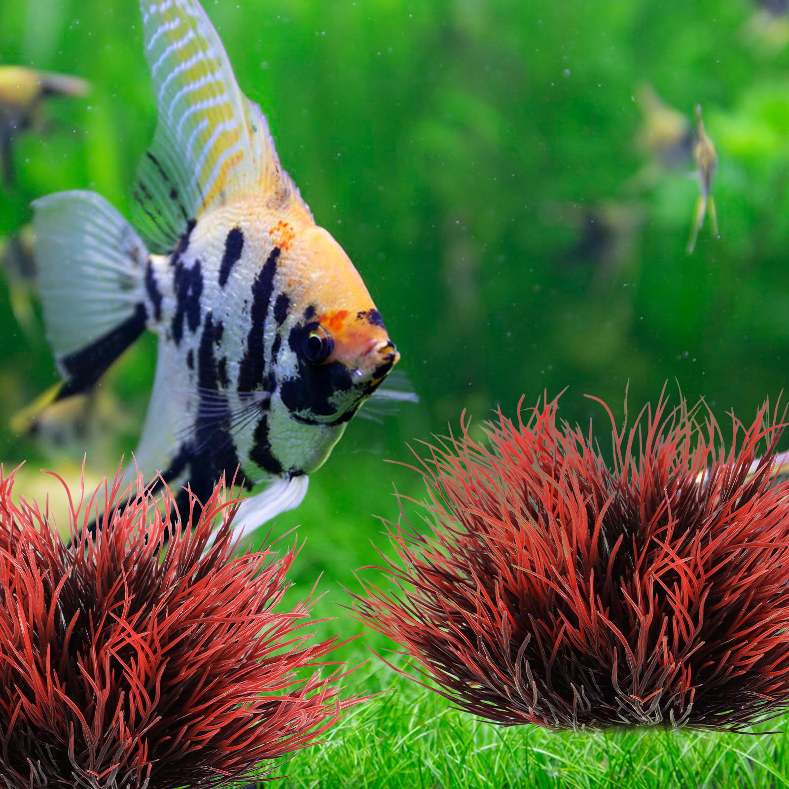 FdcLixuvol mantenimiento sencillo: enjuagar para limpiar la planta de acuario