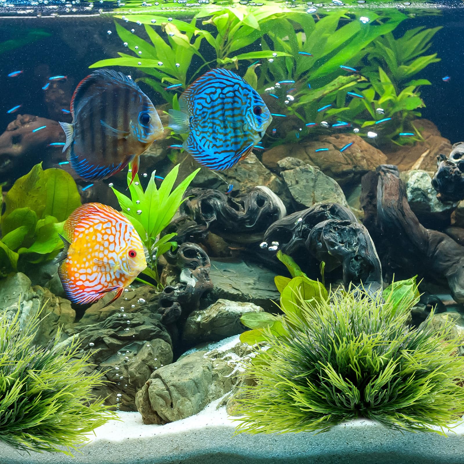 Planta para acuario FdcLixuvol verde: sin necesidad de luz ni poda.