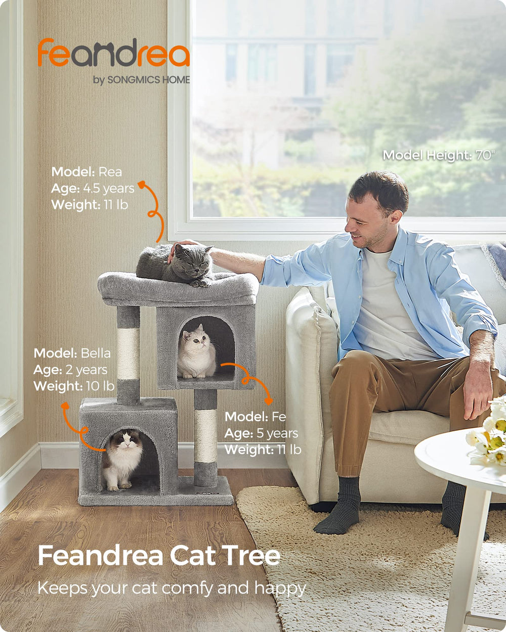 Feandrea Arbol Gato: cueva superior con dos puertas para observar desde arriba.