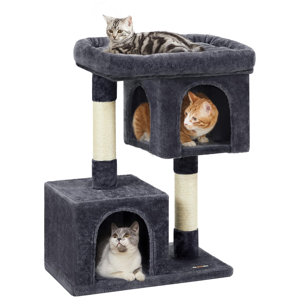 Feandrea Arbol Gato Percha Grande: amplia plataforma para estirarse