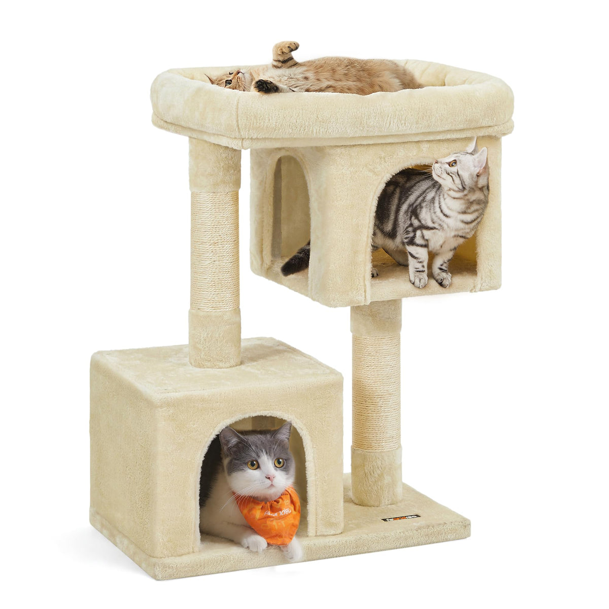 Feandrea: árbol para gatos con percha grande para estirarse y descansar