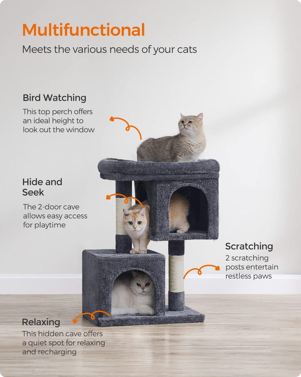 Feandrea arbol-gatos-plataforma-observacion: ideal para observar desde la altura