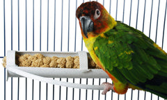 Feathersmart portador horizontal de mijo en jaula, seguro y estable.